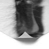 Fasciataフォトプリントby Randomwhat ポスター (角)