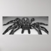 Fasciataフォトプリントby Randomwhat ポスター (正面)