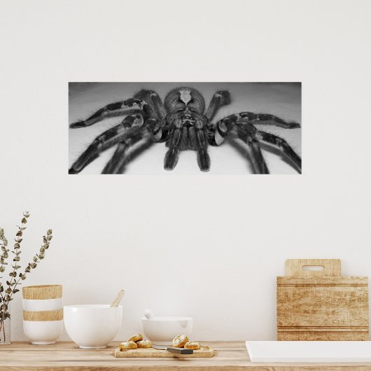 Fasciataフォトプリントby Randomwhat ポスター (キッチン)