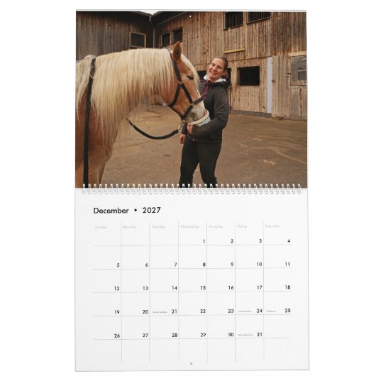 Fascination Haflinger カレンダー (12月 2027)