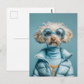 Fashion Dog In Blue Outfit ポストカード (正面/裏面)