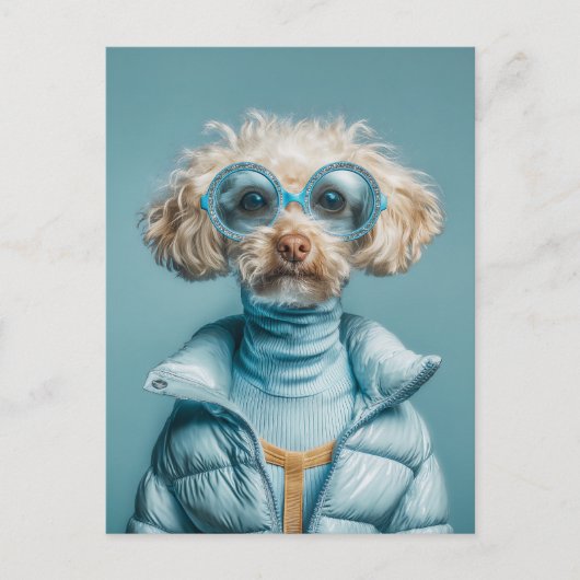 Fashion Dog In Blue Outfit ポストカード (正面)