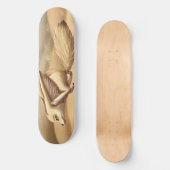 Fast Fennec Fox skateboard スケートボード (正面)