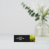 Fastpitchのソフトボールのプロフィールカード スキニー名刺 (スタンド正面)