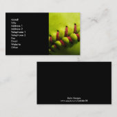 Fastpitchのソフトボールの名刺 名刺 (正面/裏面)