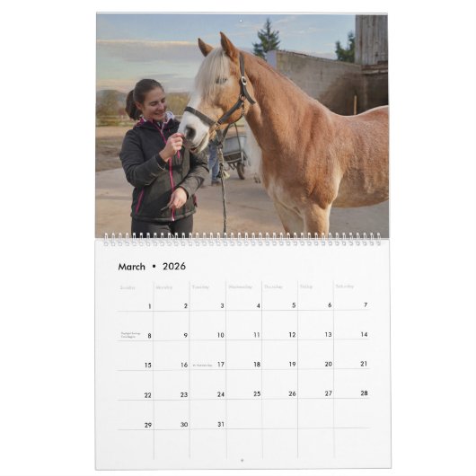 Faszination Haflinger Kalender カレンダー (3月 2026)