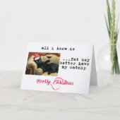 Fat Boy Better Have My Catnip Funny Christmas シーズンカード (正面)