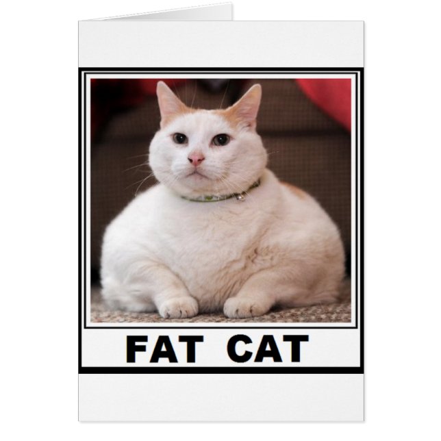 FAT CATのスマイル (正面)