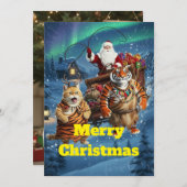 Fat Tiger the Ginger Cat’s Holiday Trouble – Cat R 招待状 (正面/裏面)