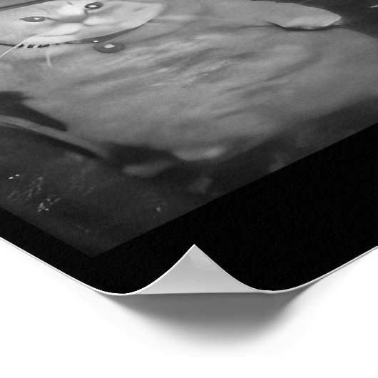 Fat Wizard Cat Fat Kitten Wizard Funny Cat Meme Br ポスター (角)