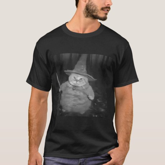 Fat Wizard Cat Fat Kitten Wizard Funny Cat Meme Br Tシャツ (正面)
