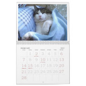 FATBOY BABUSHKAカレンダー2024 カレンダー (2月 2027)