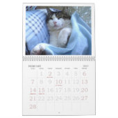 FATBOY BABUSHKAカレンダー2025 カレンダー (2月 2027)