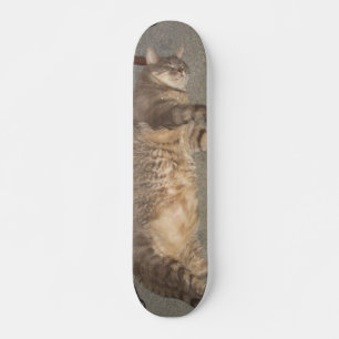 FatCat板 スケートボード