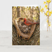 Father's Day Cardinal Nest in a Baseball Glove カード (黄色い花)