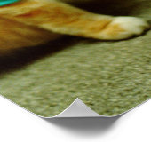 Fatso、オリジナルキーボードCat 1984 ポスター (角)