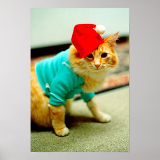 Fatso、オリジナルキーボードCat 1984 ポスター