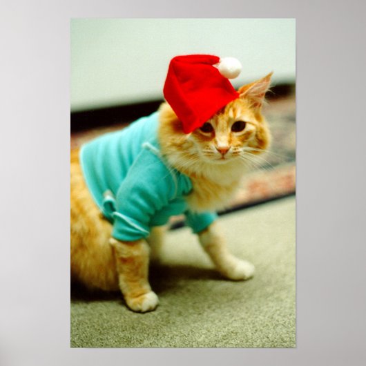 Fatso、オリジナルキーボードCat 1984 ポスター (正面)