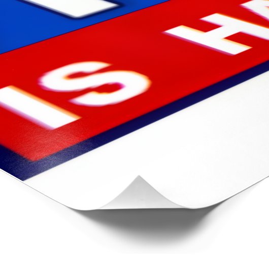 Faux News ポスター (コーナー)