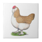 Faverolleの雌鶏 タイル (正面)