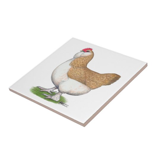 Faverolleの雌鶏 タイル (側面)