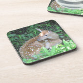 FAWNコースター コースター (左側)