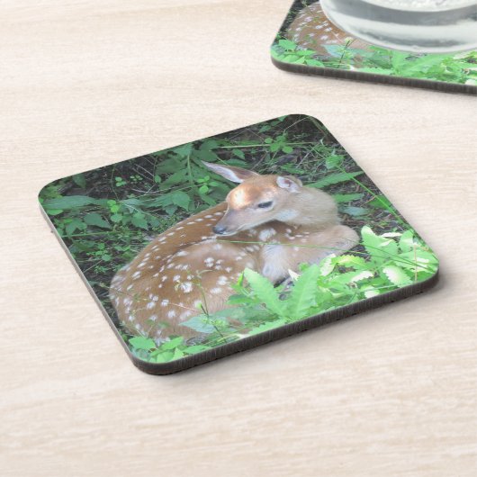 FAWNコースター コースター (左側)