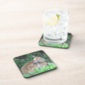 FAWNコースター コースター (右側)