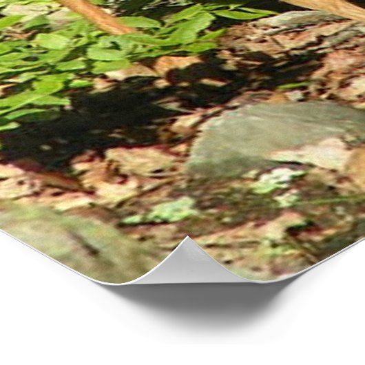 Fawnポスター ポスター (角)