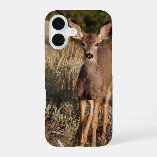 Fawn電話ケース iPhone 16ケース (裏面)