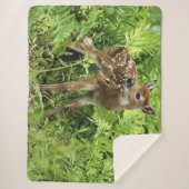 FAWN シェルパブランケット (正面)