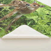 FAWN シェルパブランケット (3/4)