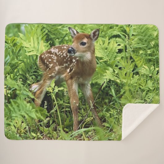 FAWN シェルパブランケット (正面(横))