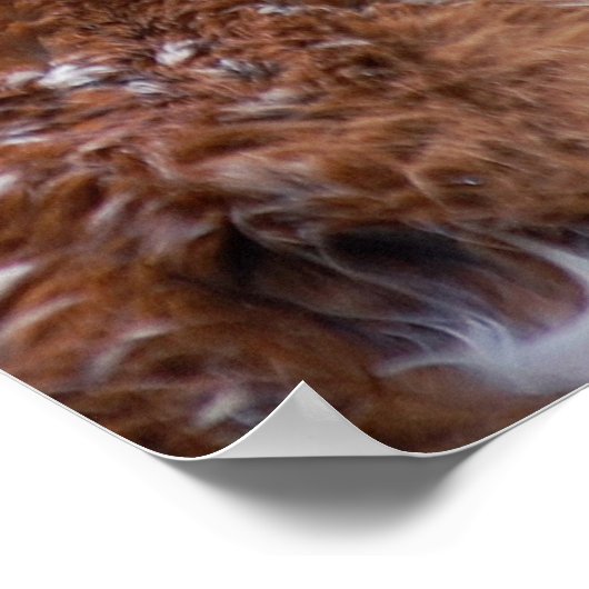 Fawn ポスター (角)