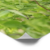 Fawn ポスター (角)