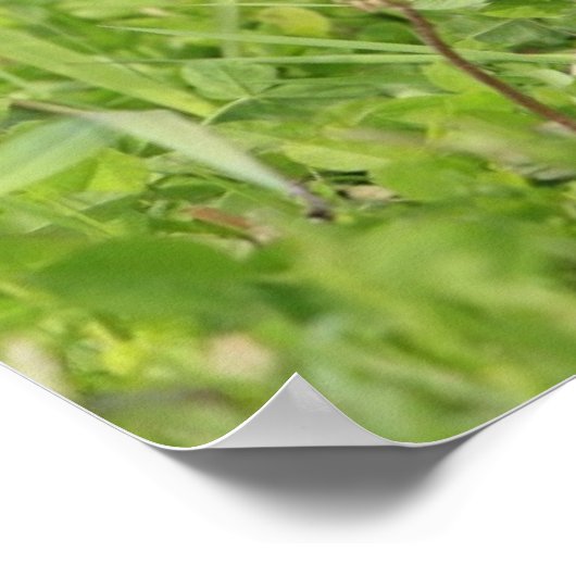 Fawn ポスター (角)