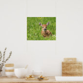 Fawn ポスター (キッチン)