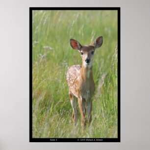 「Fawn 1」自然写真白尾鹿プリント ポスター