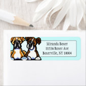 Fawn and Brindleボクサースタジオアクア ラベル (インサイチュ)