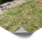 Fawn Boxer Dog Standing ポスター (角)