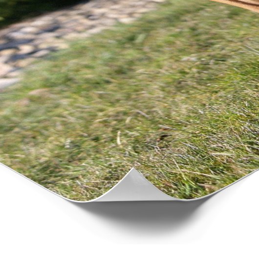 Fawn Boxer Dog Standing ポスター (角)