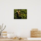 Fawn in Pine Trees Poster ポスター (キッチン)