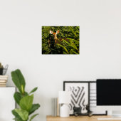 Fawn in Pine Trees Poster ポスター (ホームオフィス)
