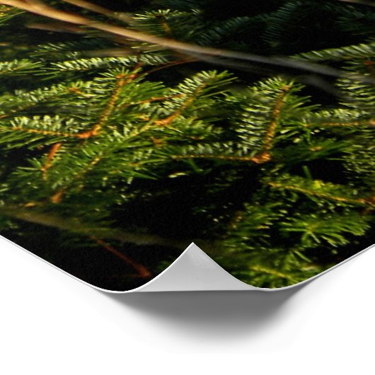 Fawn in Pine Trees Poster ポスター (角)