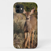 Fawn iPhone 5 Case-Mate iPhoneケース (裏面)
