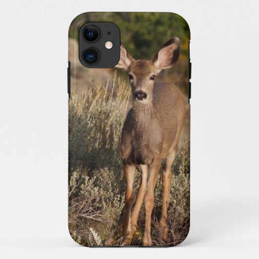 Fawn iPhone 5 Case-Mate iPhoneケース (裏面)