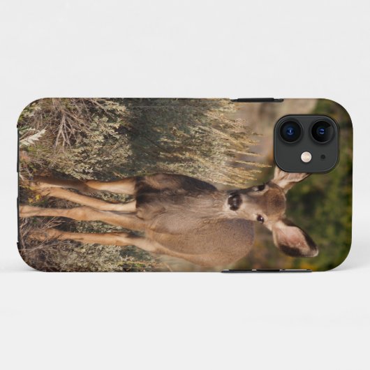 Fawn iPhone 5 Case-Mate iPhoneケース (裏面(横))