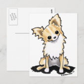 Fawn & White Longhair Chihuahua かわいらし Sit ポストカード (正面/裏面)