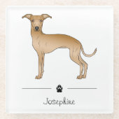 Fawwn Greyhoundイタリアン可愛い犬とカスタム文字 ガラスコースター (正面)