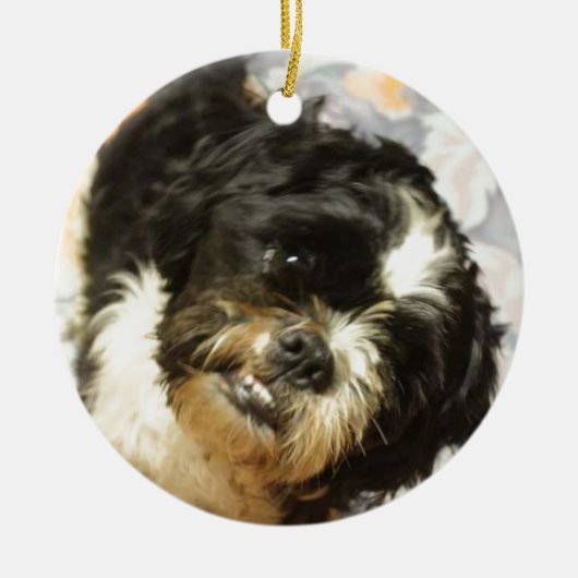 FB_IMG_1481505521015 Shitzu犬 セラミックオーナメント (正面)